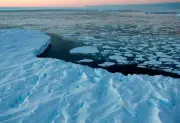 ONU alerta: océano en crisis por cambio climático y contaminación