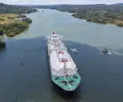 Panamá activa plan para frenar avance de coral invasor en el Caribe