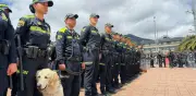 Partido despedida Selección Colombia en El Campín: recomendaciones y restricciones