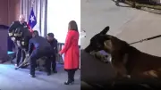 Perro antinarcóticos mordió a almirante en ceremonia naval en Chile