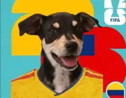 Perros rescatados 'predicen' resultados del Mundial 2026 para encontrar hogar
