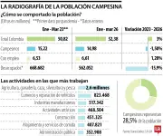 Población campesina en Colombia se reduce: 28,5% del total nacional