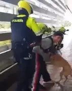 Policía de Bogotá se pronuncia sobre video de intervención a músico callejero
