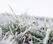 Posibles nevadas en Uruguay por ola de frío polar esta semana