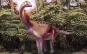 Primer hueso de dinosaurio hallado en la Antártida es de un titanosaurio