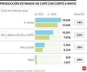 Producción cafetera de mayo sube 29%, pero acumulado sigue en caída