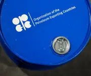 Producción de crudo de la Opep cae a mínimo histórico en mayo