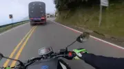 ¿Qué significan las líneas rojas en las carreteras de Colombia?