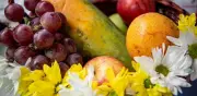 Raíces 2026: programa une a España y Latinoamérica para impulsar startups agroalimentarias