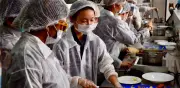 Sena y Koika impulsan emprendimiento con voluntarios coreanos en Colombia