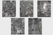 Tomás Bermúdez presenta 'La distancia necesaria': una serie de carboncillo sobre bosques