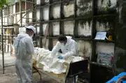 UBPD verifica identidad de 15 cuerpos en Guaviare