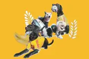 Viajar con mascotas al Mundial 2026: requisitos y consejos