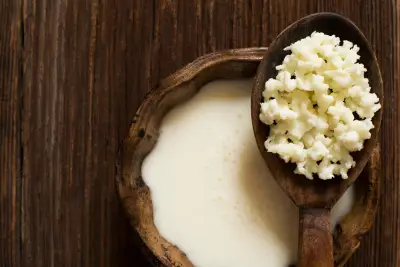 Alimentos fermentados ganan popularidad en EE. UU. y la ciencia estudia sus beneficios