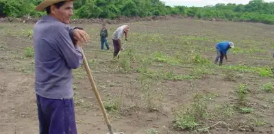 Campesinos bloquean vías en Cesar por falta de títulos de tierras entregadas