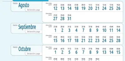 Dian ajusta calendario tributario de julio 2026 por nuevo festivo en Colombia