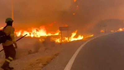 Diez de once fallecidos en incendio en España son extranjeros