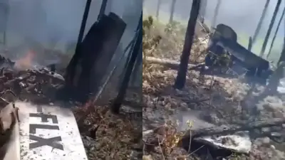 Diez músicos y un DJ mueren en accidente de avioneta en Bahamas