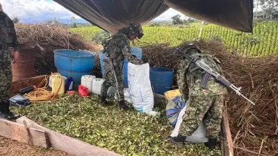 Dos laboratorios de coca desmantelados en el Nordeste antioqueño en 24 horas