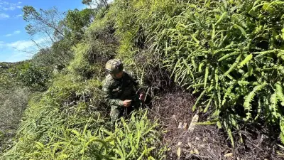 Ejército destruye dos explosivos del ELN en zona rural de Anorí, Antioquia