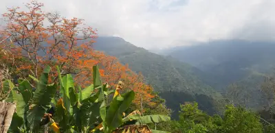 Investigan muerte de neerlandés en Minca, Santa Marta