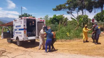 Padre e hija atacados por abejas africanizadas en Barichara, Santander