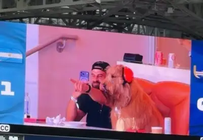 Perro viral Brodie: así entró a la cancha en Argentina vs Cabo Verde