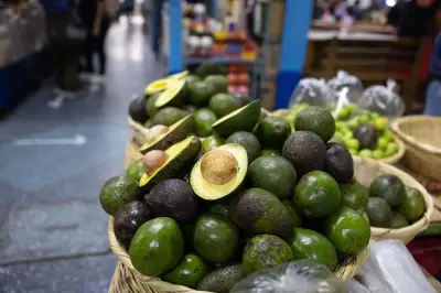 Producción mundial de aguacate se triplica en dos décadas, Colombia expande cultivo 335%