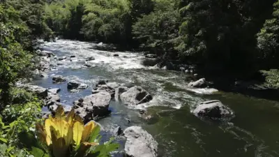 Recuperan cadáver atrapado en caverna natural en Cocorná, Antioquia