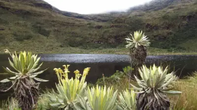 Veeduría de Bucaramanga critica metodología en concertación de Santurbán
