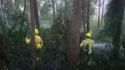 19 municipios del Magdalena en alerta roja por incendios forestales