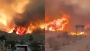 Al menos 12 muertos en incendio forestal en Almería, España