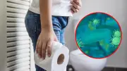 Alerta en EE. UU. por brote de ciclosporiasis con más de 1.500 casos
