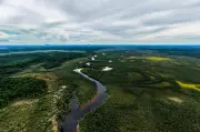 Amazonia: consulta previa para declararla libre de minería e hidrocarburos