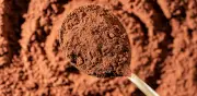 Cacao colombiano bate récord: exportaciones a EE.UU. superan US$153 millones en 2025