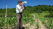 Colombia destina COP 67.272 millones para seguros agropecuarios ante El Niño