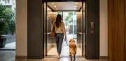 Corte Constitucional: conjuntos no pueden prohibir mascotas en zonas comunes