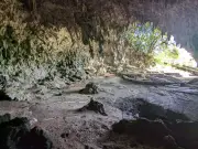 Estudio cuestiona que el Homo floresiensis cazara grandes animales y usara fuego
