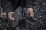 Fenalcarbón denuncia negligencia del Gobierno en caso antidumping de India