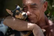 Guía práctica para preparar un kit de evacuación para mascotas ante desastres naturales