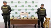 Incautan 8,6 kilos de marihuana en encomienda en San Gil, Santander