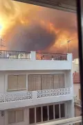 Incendio en Almería: 11 muertos, 19 desaparecidos y 8 heridos