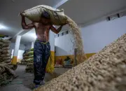 Indicadores económicos Colombia: TRM, UVR, DTF y más en tiempo real