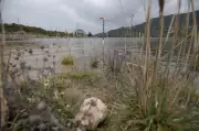 La Calera firma acuerdos para restaurar 18,5 hectáreas de páramo ante El Niño