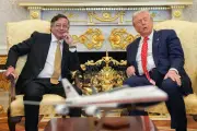 Petro y Trump dialogan sobre erradicación de cultivos y salida de lista OFAC