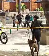 Pico y Placa Medellín: Restricciones para hoy y esta semana