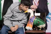 Presentan 'Ley Merlín' en CDMX para proteger animales que generan ingresos