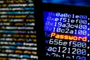 Robo de datos de 4.5 millones de usuarios de comparendos en Bogotá