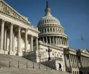 Senadores demócratas piden investigar ganancias de Trump con criptomonedas