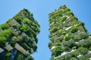 Soluciones basadas en naturaleza: una alternativa frente a inundaciones en Colombia